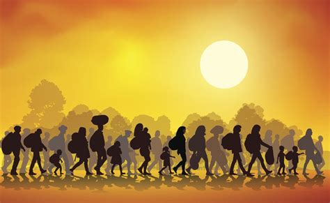 what is human migration